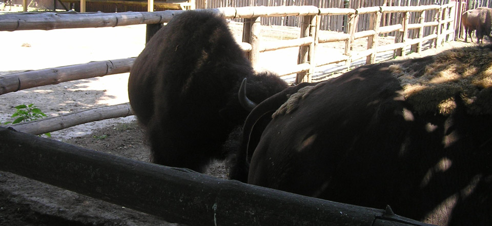 短信压力测试在线网页版